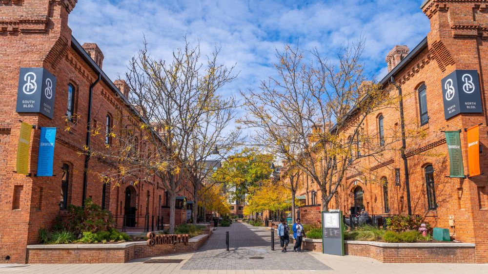 Brightleaf District Shopping