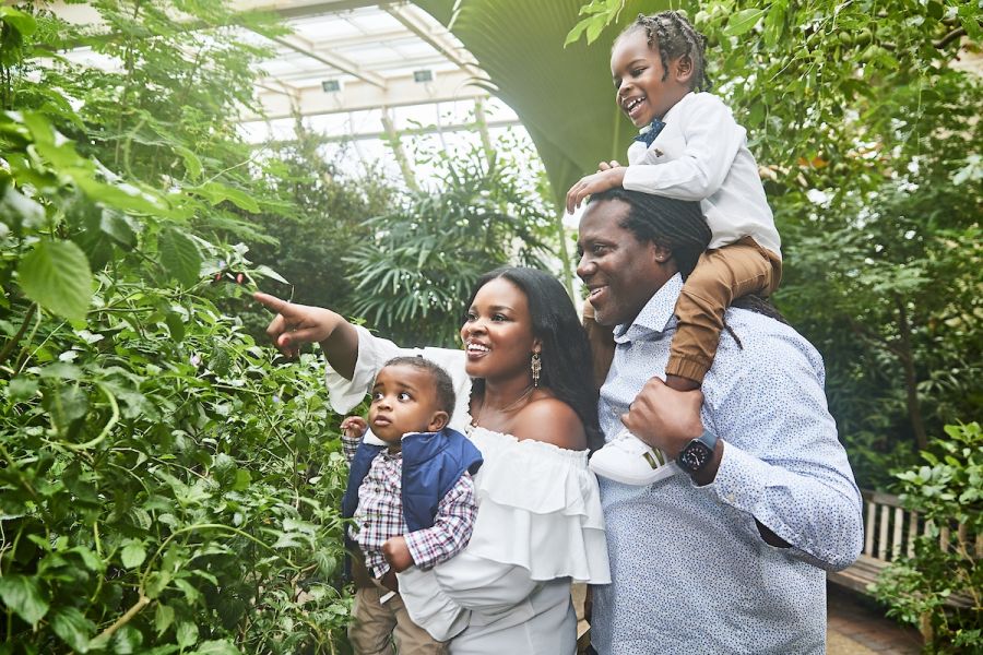 A family explores the lush gardens inside the butterfly house at The Museum of Life and Science.