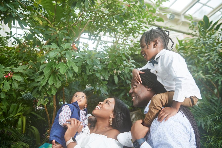 A family gazes upon a butterfly in front of lush green foliage at the Museum of Life and Science.