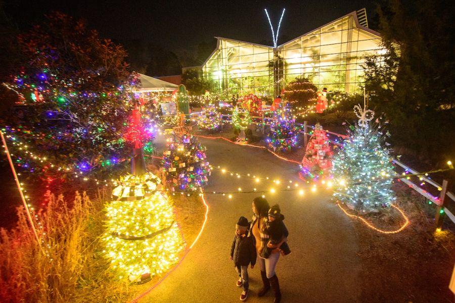 A family walks through light displays at the Museum of Life and Science Holidays in the Park.