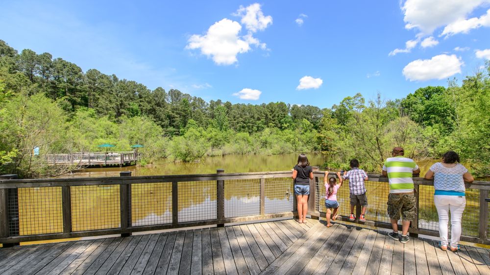 A group of children and adults hang out on the boardwalk at the Museum of Life and Science in Durham.