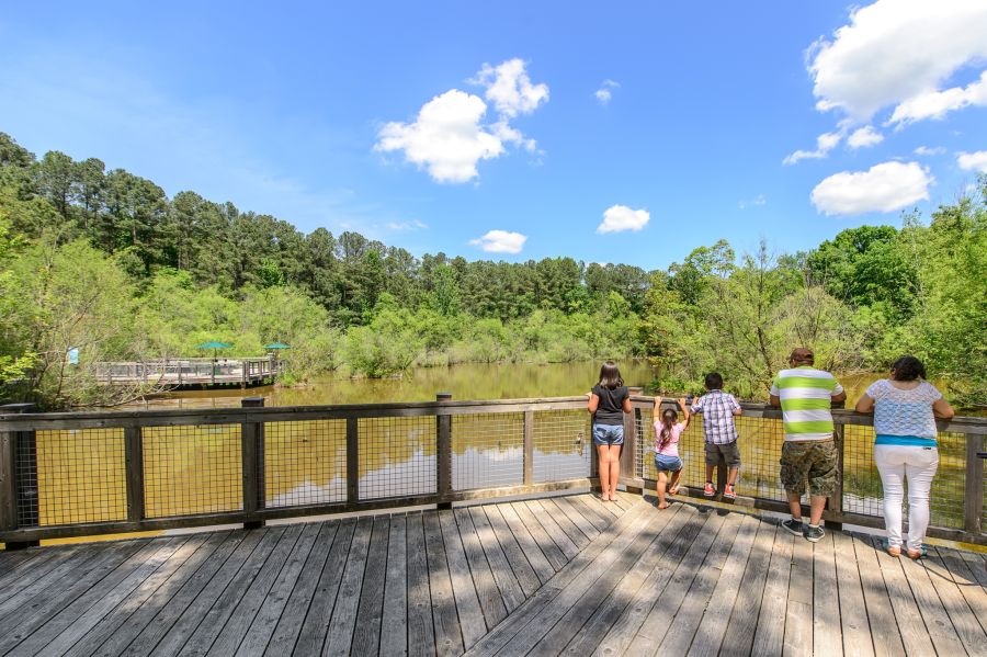 A group of children and adults hang out on the boardwalk at the Museum of Life and Science in Durham.