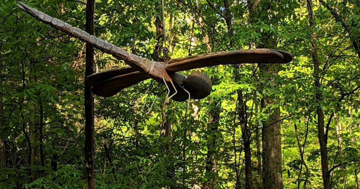 Frisbee Golf at Cornwallis Rd Park Discover Durham