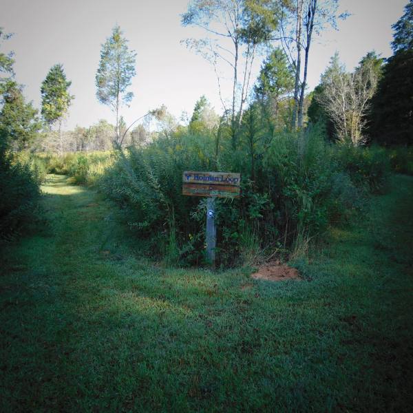 horton grove