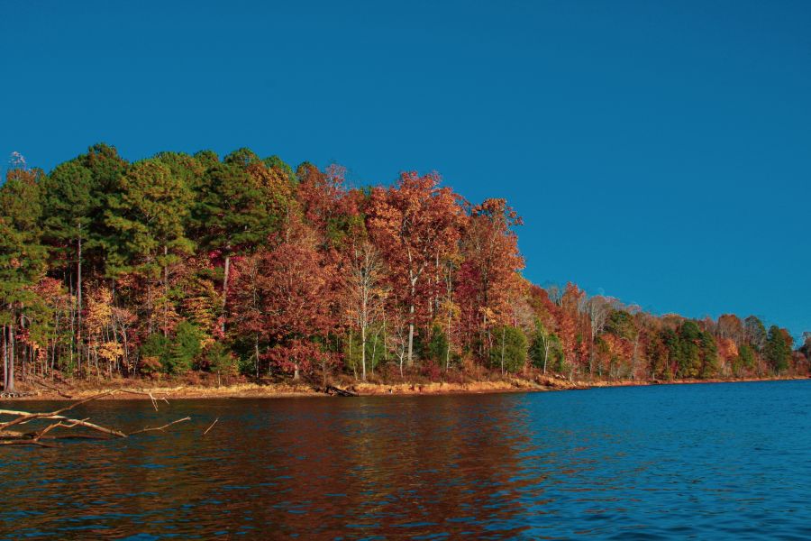 Trees show leaves changing to fall colors over a placid lake on a sunny day at Falls Lake.