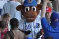 durham bulls mascot
