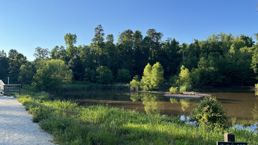 Al Buehler Trail Parking