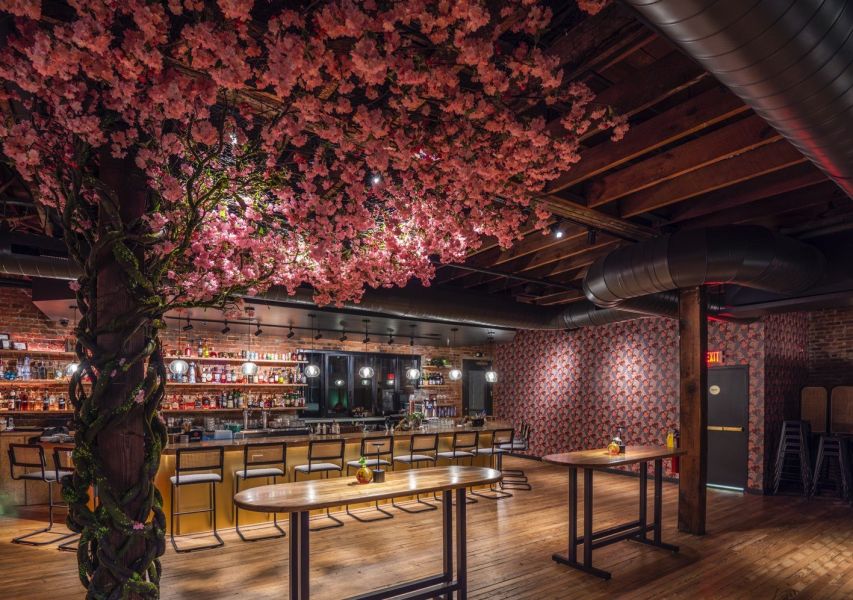 An artificial cherry trees boughs hang over the tables and bar at The Velvet Hippo in Durham, NC.
