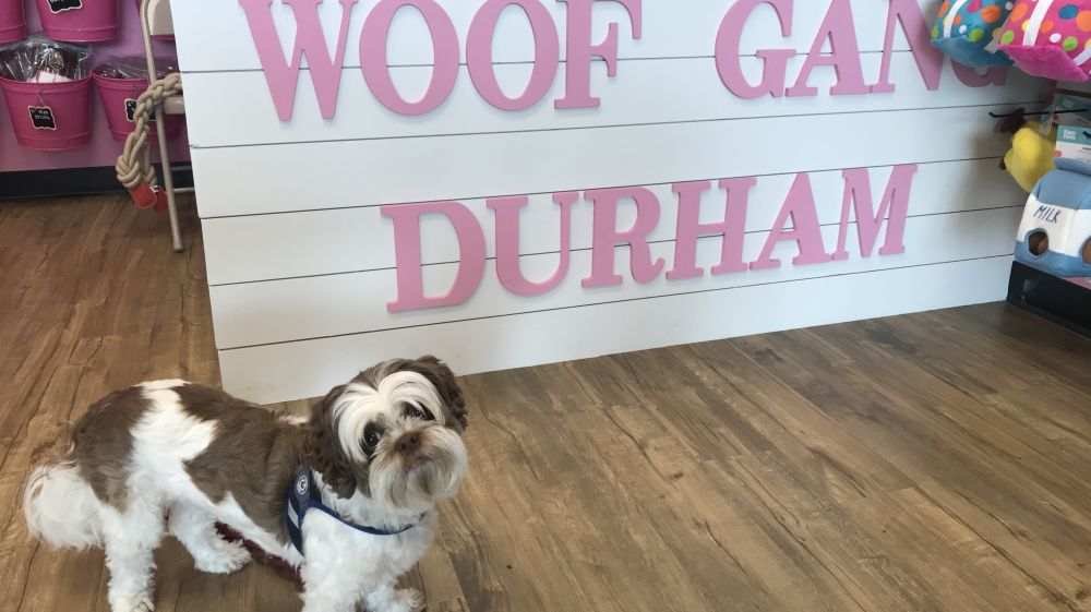 Woof Gang Bakery & Grooming